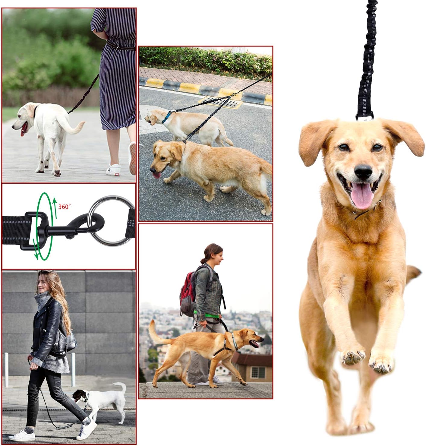 Experience Effortless Dog Walking with Our Double Dog Leash - 360° Tangle-Free Design for Two Dogs Up to 200lbs with Comfortable Padded Handles
