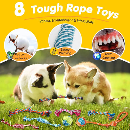 Ultimate 25 Pack Luxury Dog Chew Toys for Small Pups - Fun Ropes, Treat Balls, and Squeaky Toys for Teething Dogs