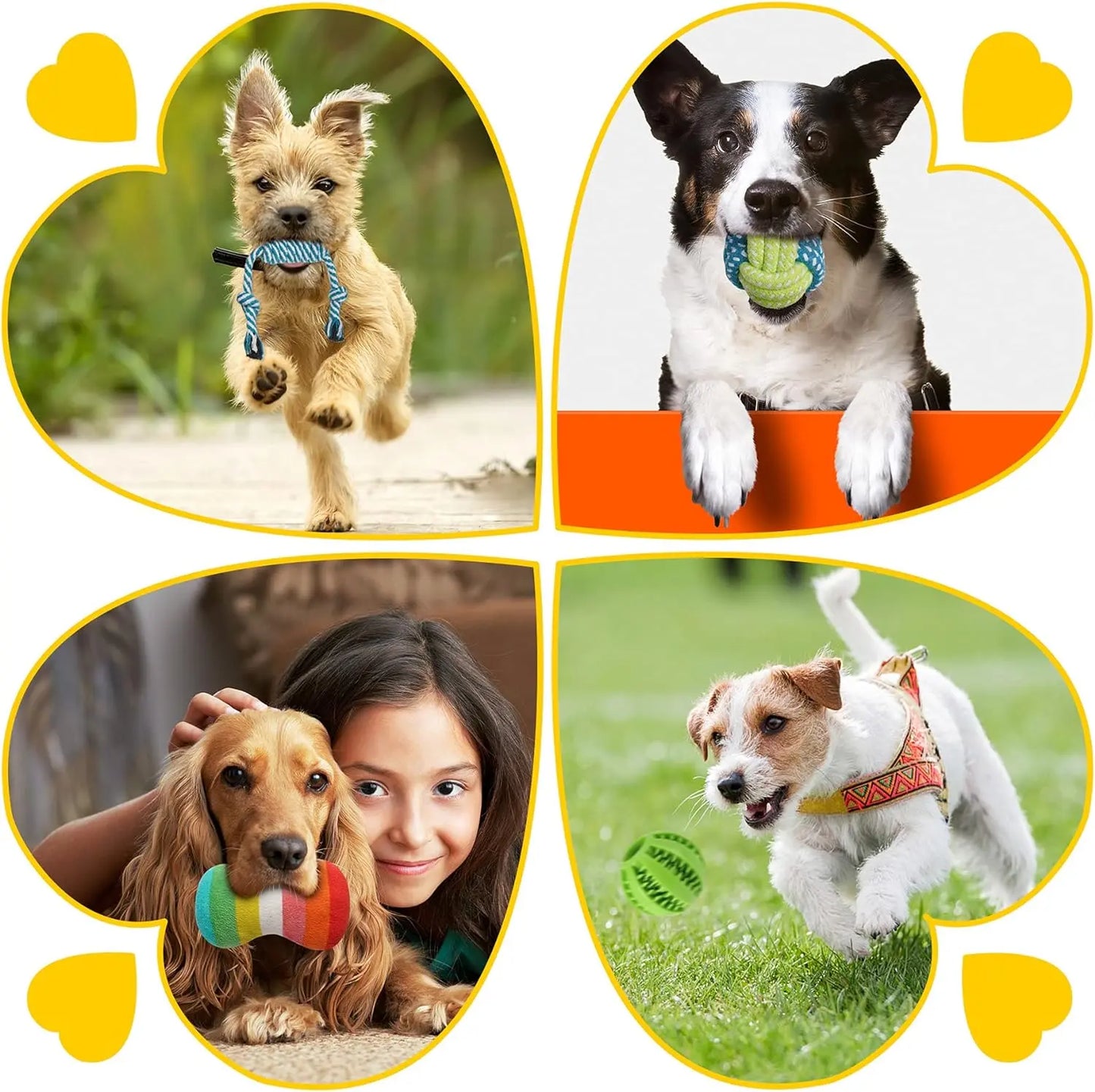 Ultimate 25 Pack Luxury Dog Chew Toys for Small Pups - Fun Ropes, Treat Balls, and Squeaky Toys for Teething Dogs