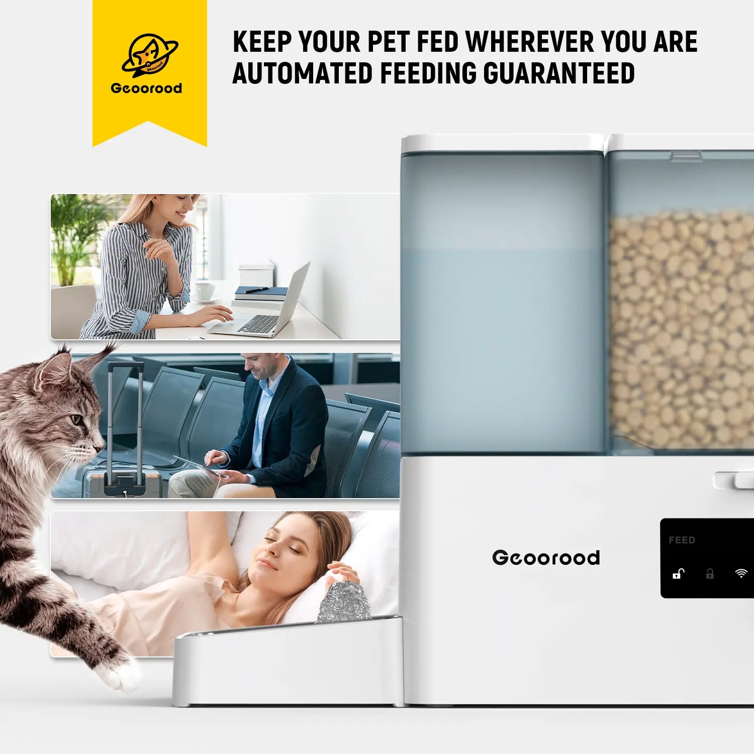 Geoorood 2-in-1 Automatic Pet Feeder & Gravity Water Dispenser - 36 Cups/8.5L Food Capacity with Stainless Steel Bowls - Perfect for Cats, Small Dogs, Puppies, and Kittens!